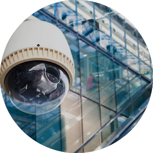 CAMARAS Y SISTEMAS DE SEGURIDAD